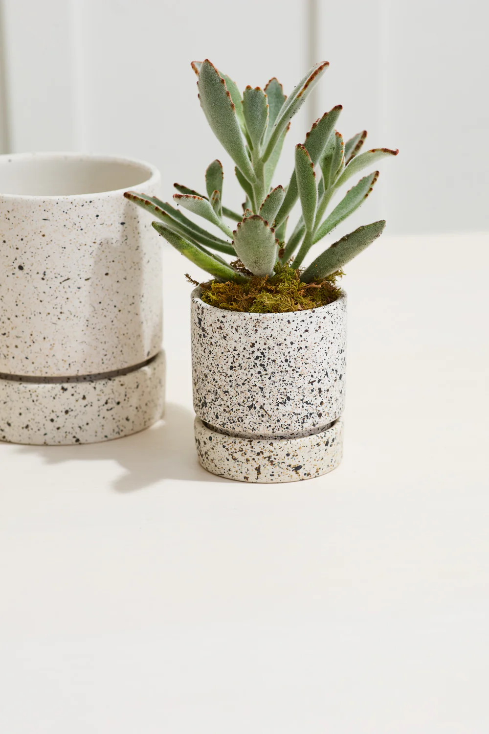 Nisha Pot Set of 4 By Accent Decor - Image 6