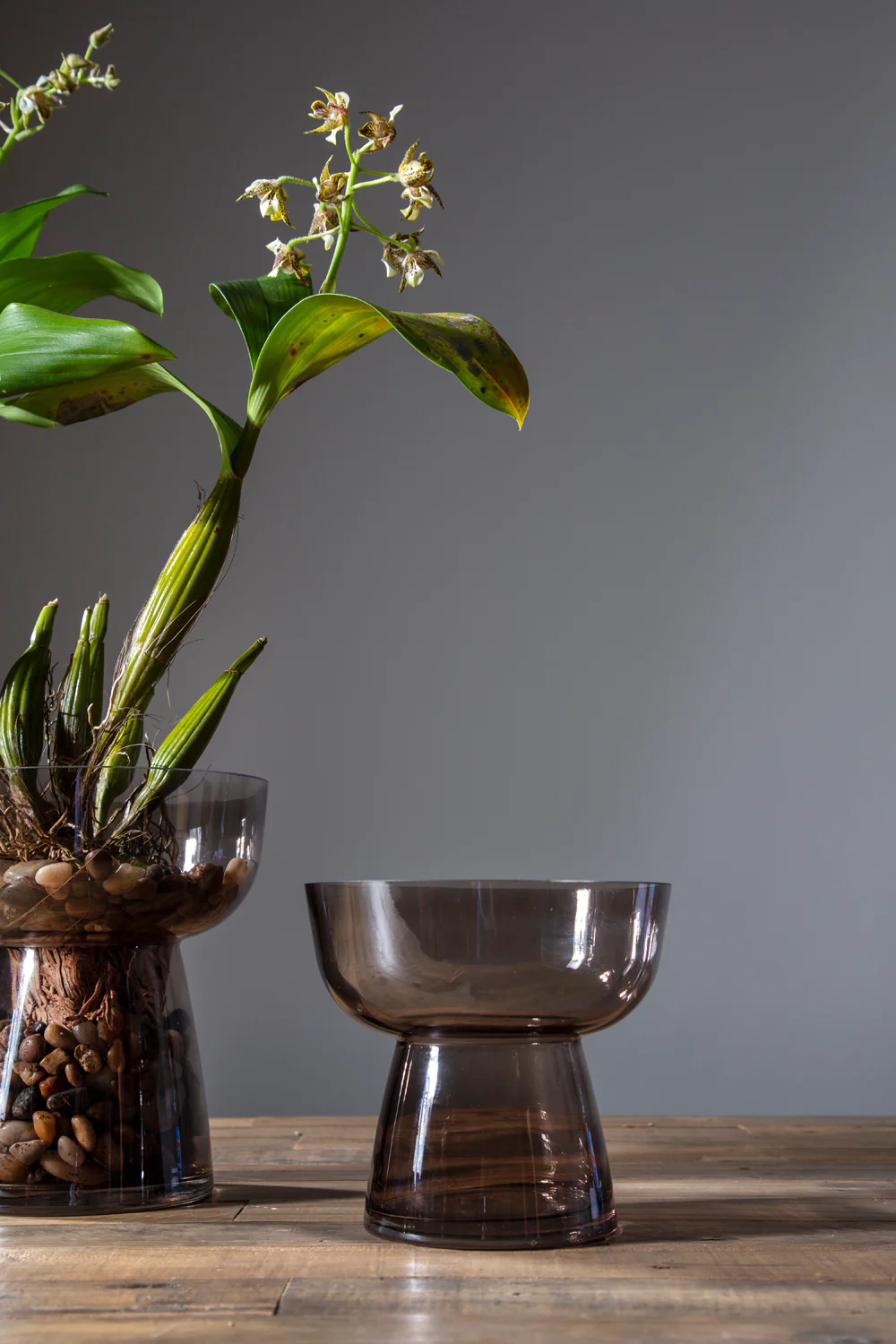Noemi Vase Set of 2 By Accent Decor