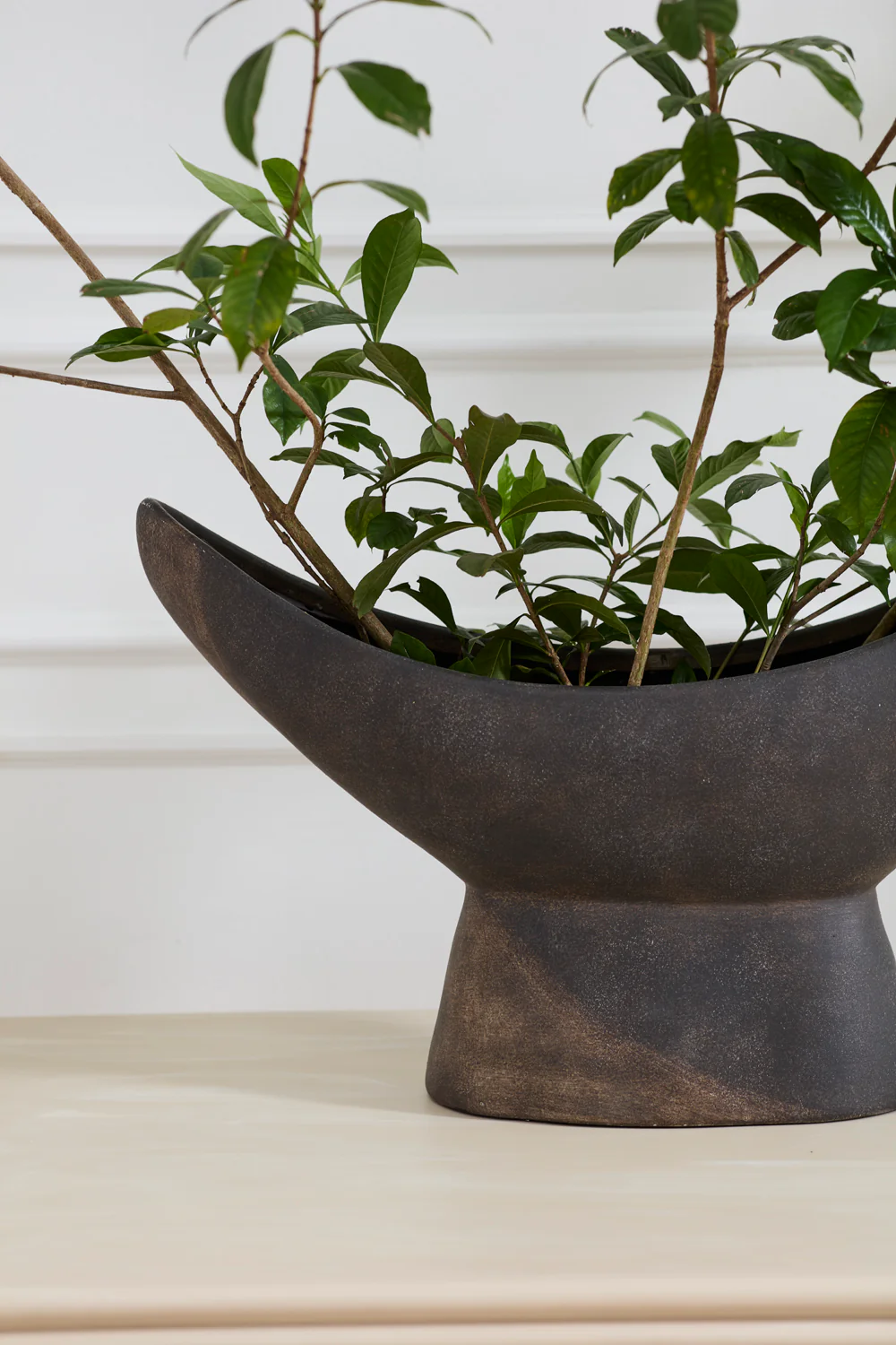 Numina Boat By Accent Decor