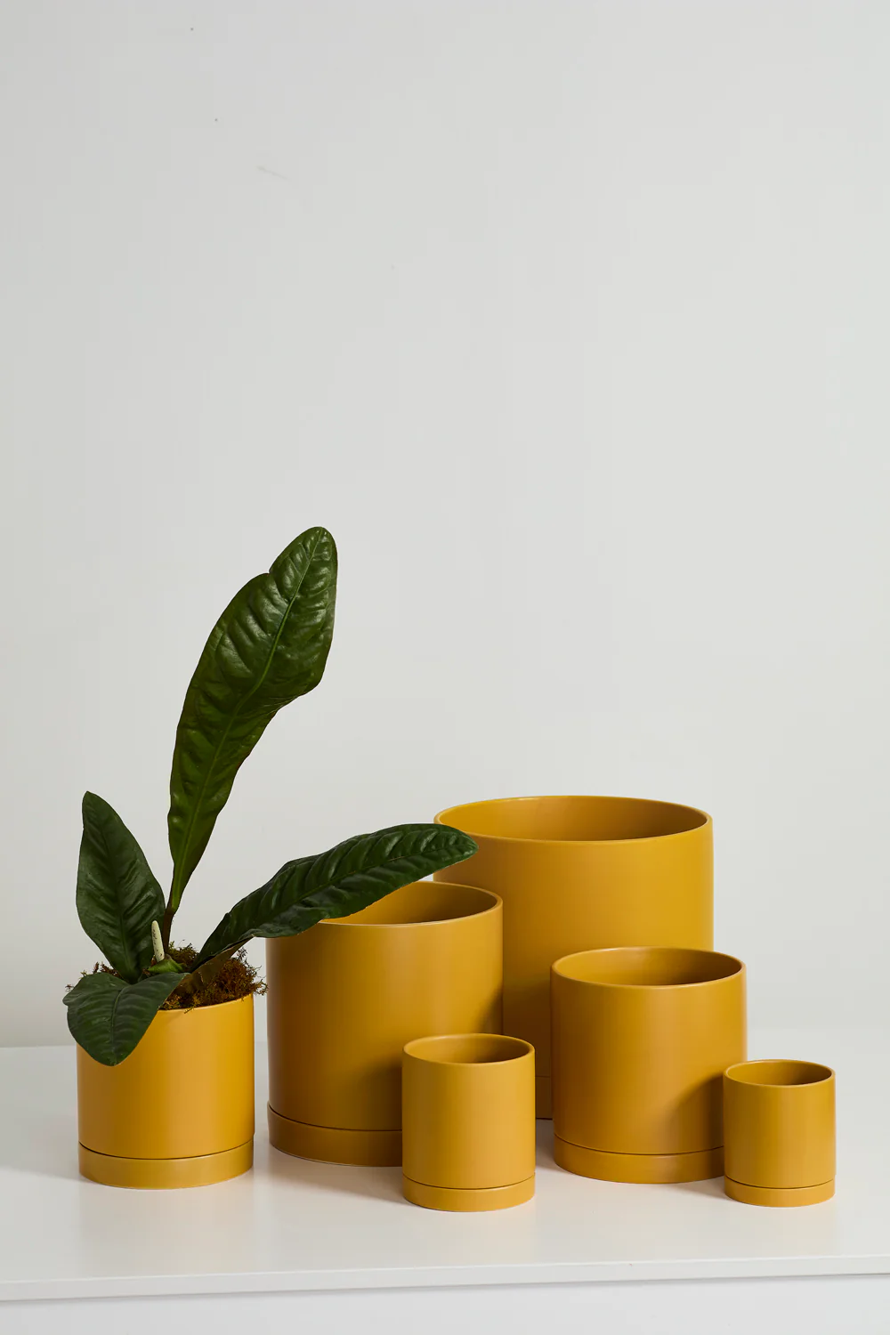 Ochre Romey Pot By Accent Decor - Image 3