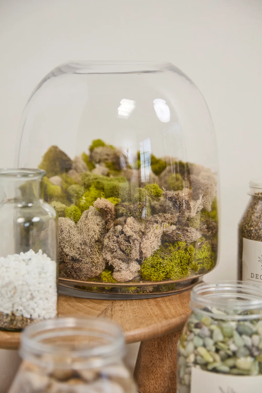 Oliver Terrarium Set of 4 By Accent Decor - Image 11