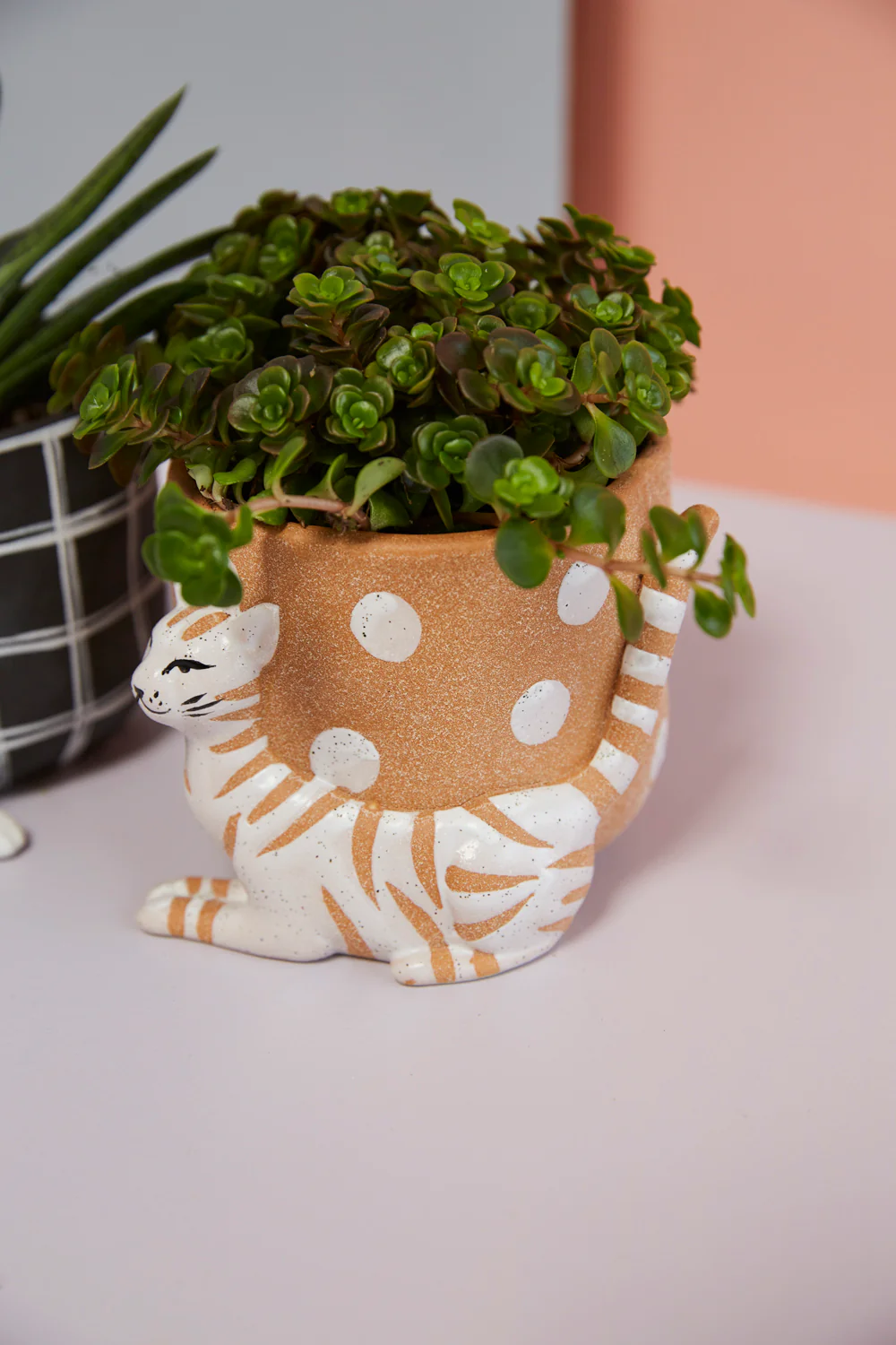 Pampered Pet Pot Set of 4 By Accent Decor
