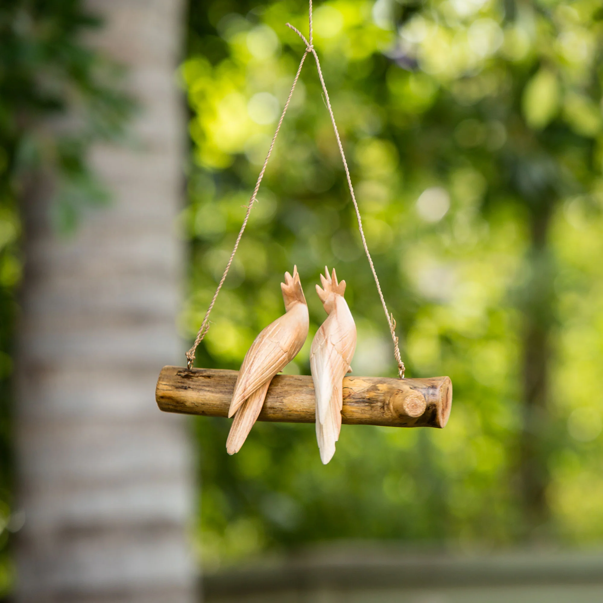 Parasite Cotato Double Hanging Set of 4 By Garden Age Supply - Image 3