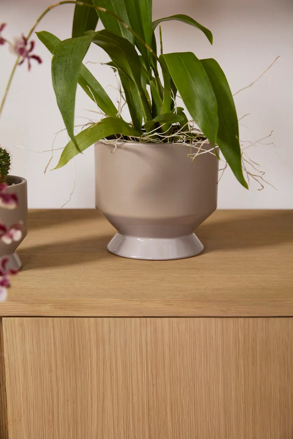 Pasadena Pot Set of 4 By Accent Decor - Image 57