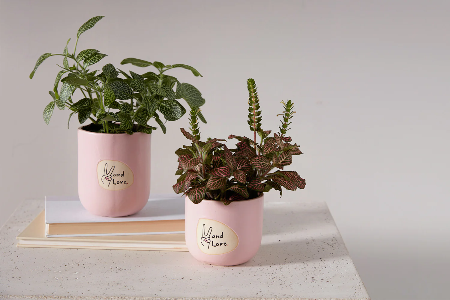 Peace and Love Pot Set of 8 By Accent Decor - Image 3