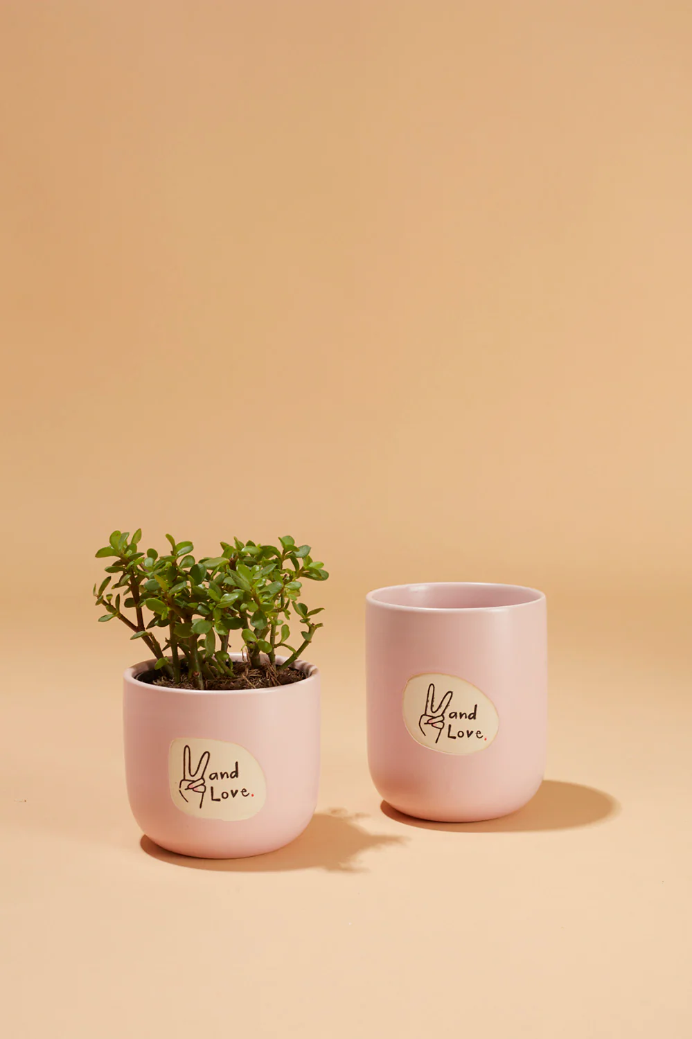 Peace and Love Pot Set of 8 By Accent Decor - Image 4