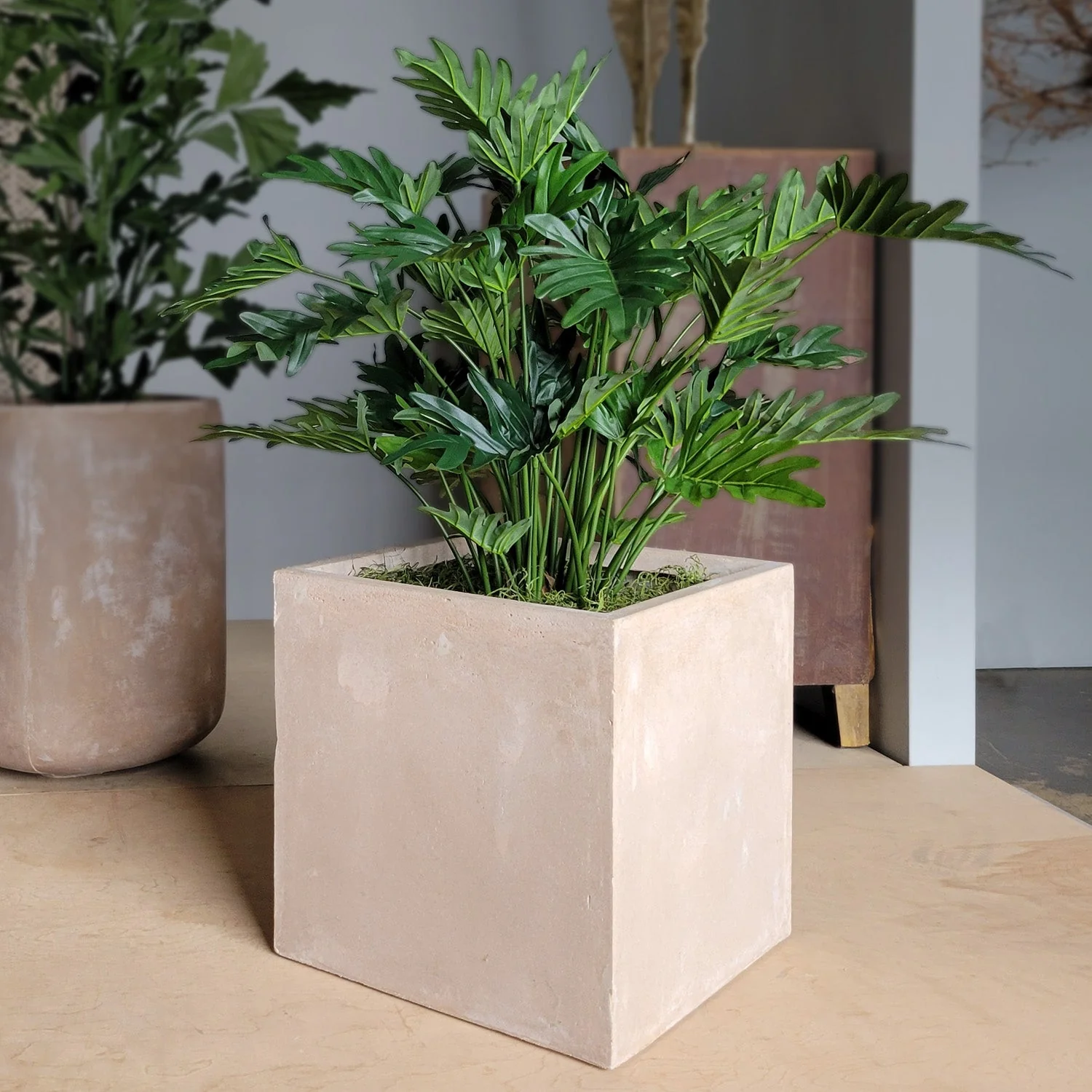 Philodendron 38”H in Square Urbano, SM By Gold Leaf