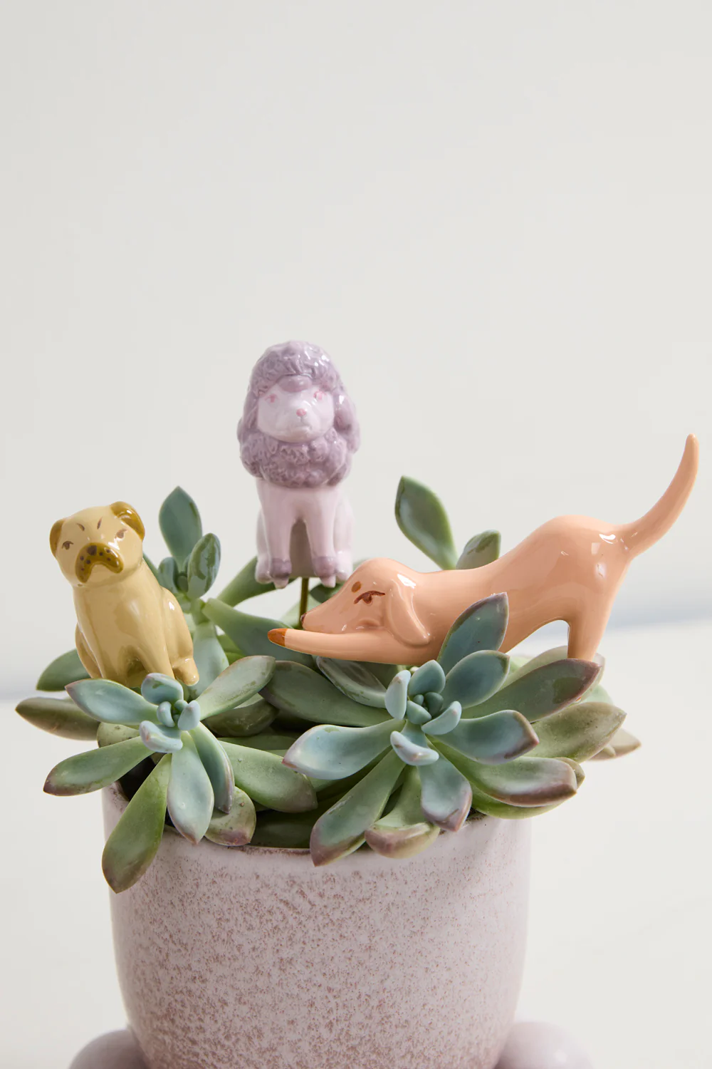 Playful Pups Plant Sticks - Set of 6 By Accent Decor - Image 3