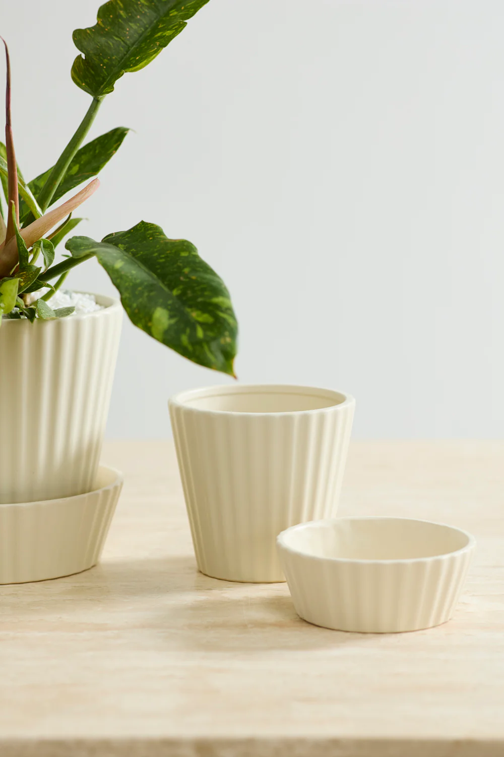 Quincy Pot Set of 4 By Accent Decor - Image 4