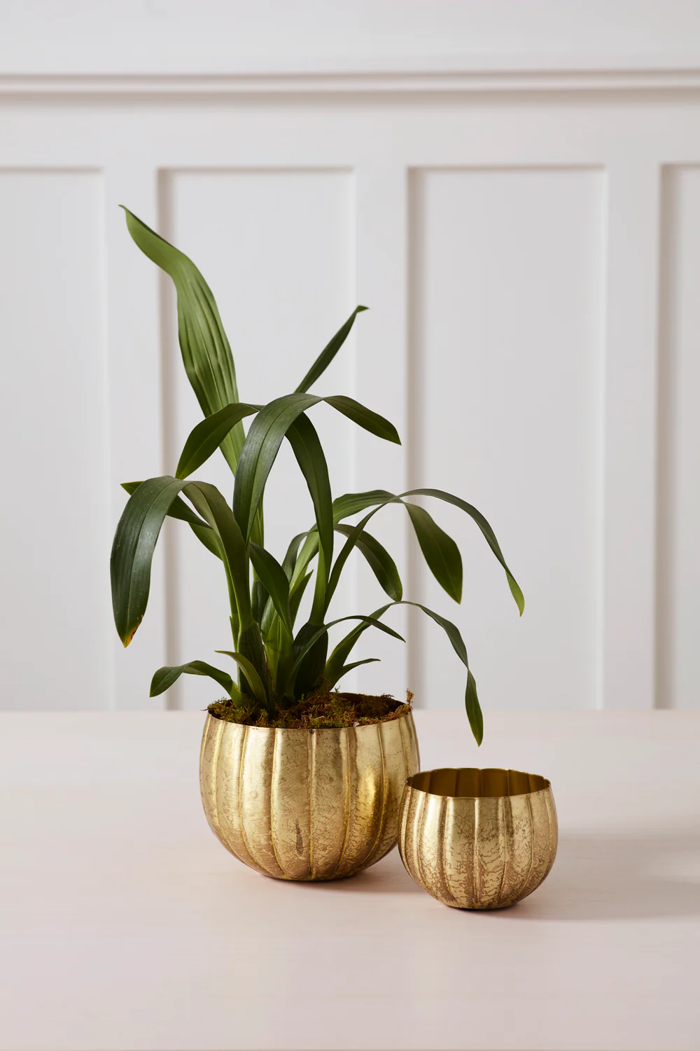 Ravi Pot Set of 8 By Accent Decor - Image 5