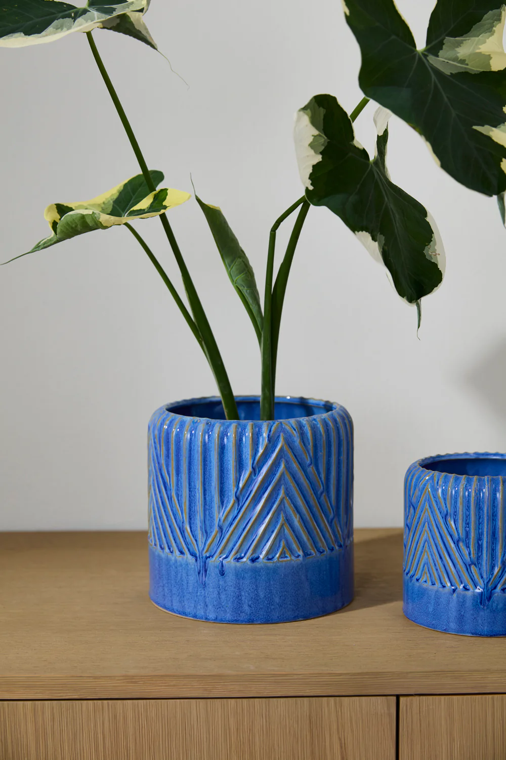 Refresh Pot Set of 2 By Accent Decor - Image 11