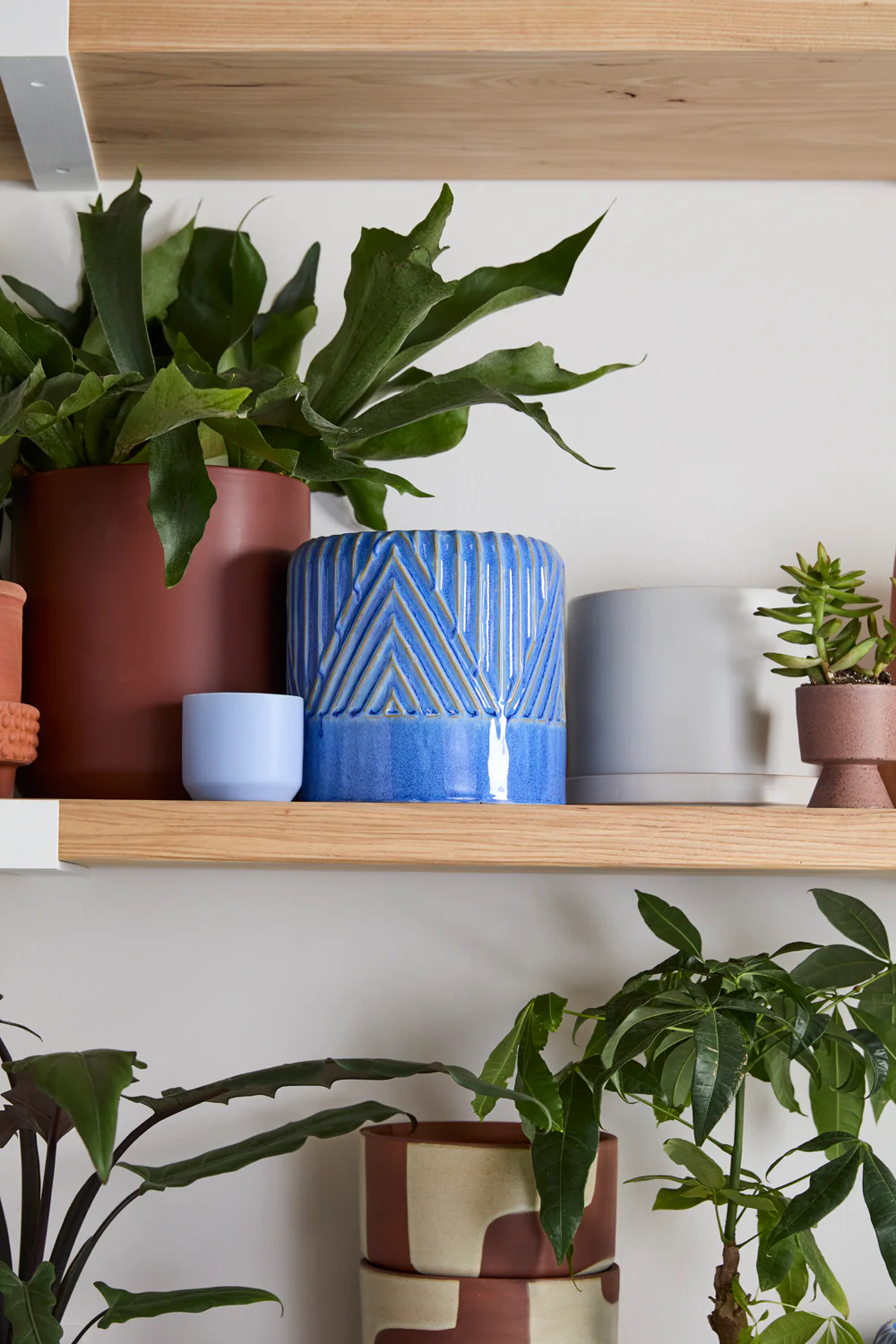 Refresh Pot Set of 2 By Accent Decor - Image 12