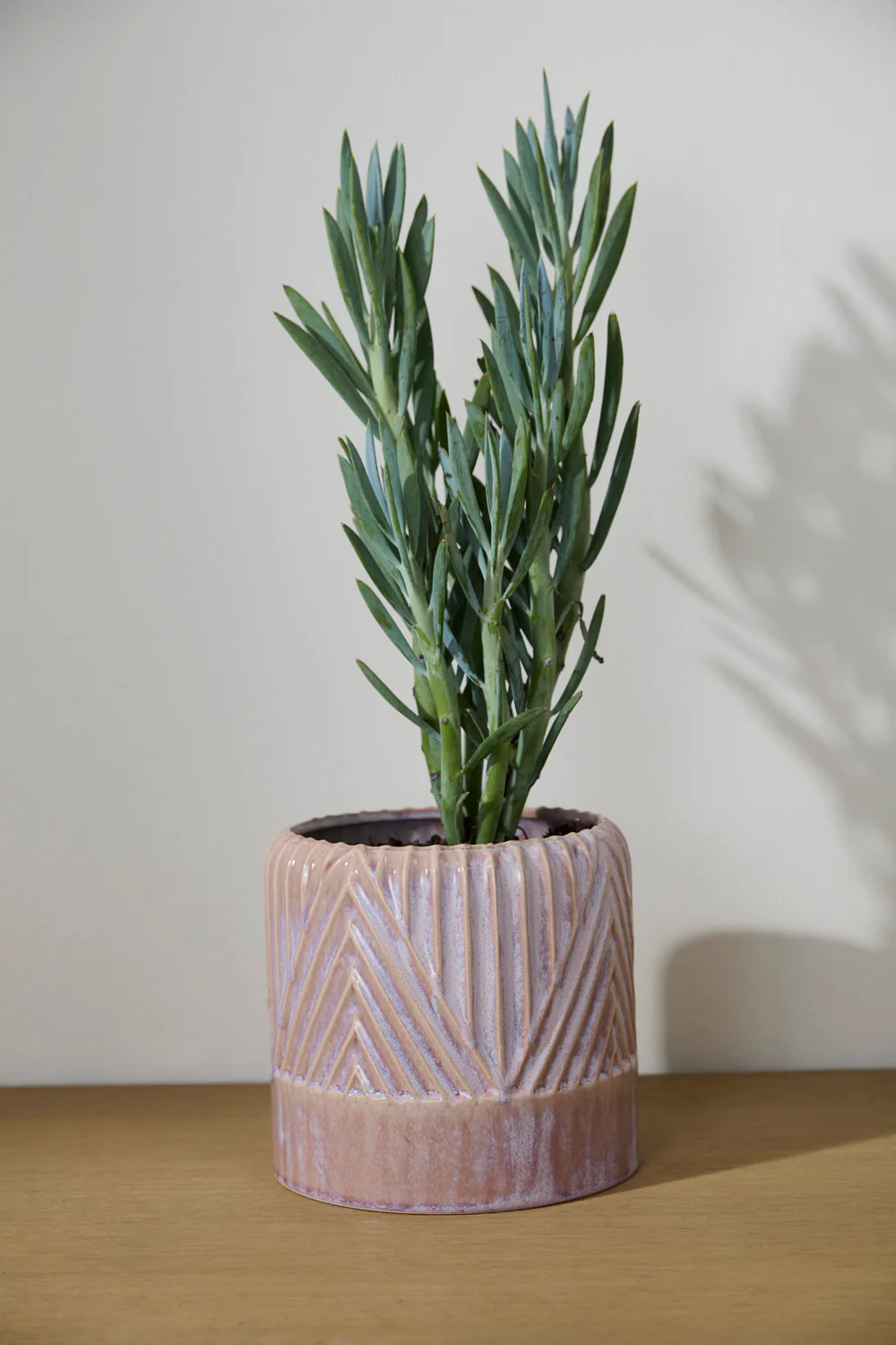 Refresh Pot Set of 2 By Accent Decor - Image 4