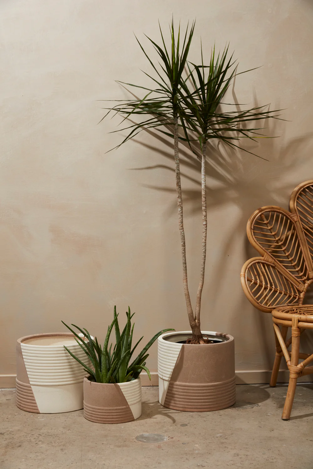 Rift Pot By Accent Decor - Image 3