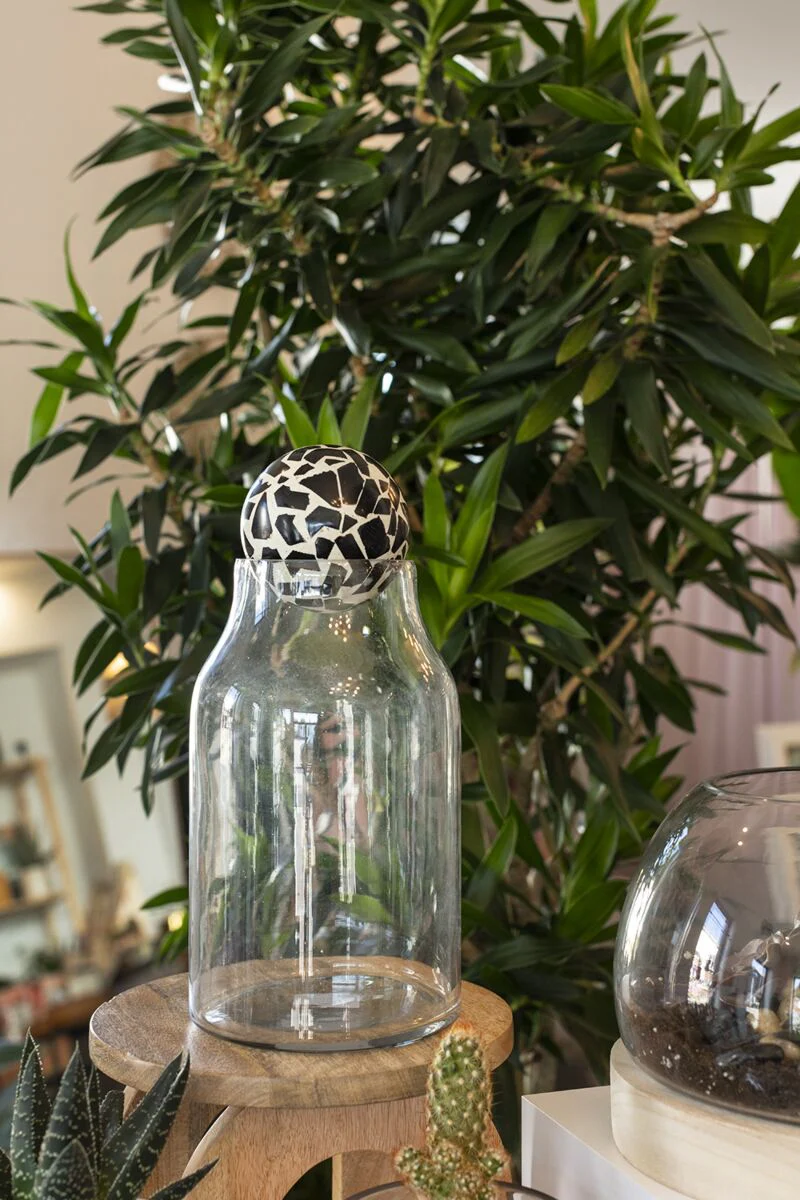 Rory Terrarium 5.5"x 12" By Accent Decor