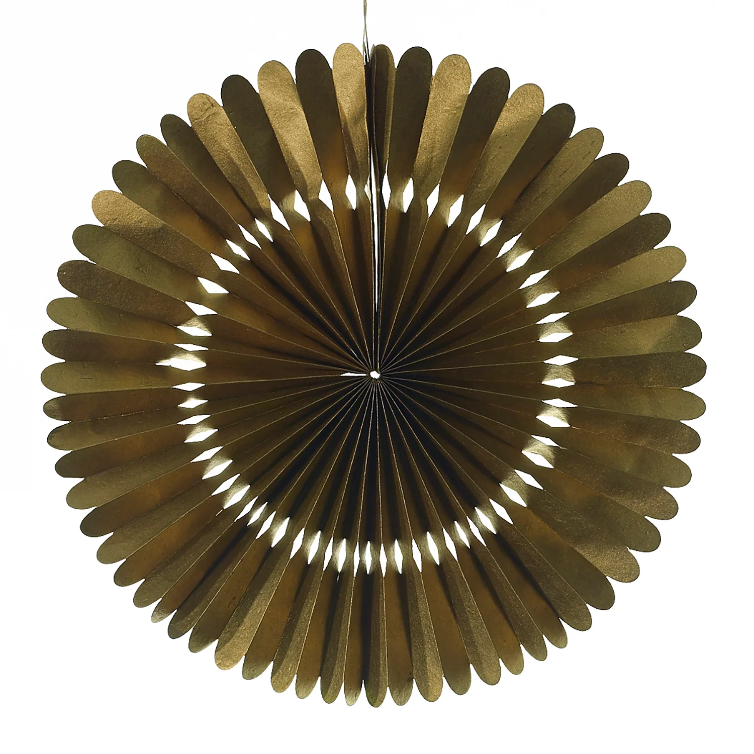 Rosetta Paper Fan Set of 8 By Accent Decor - Image 11