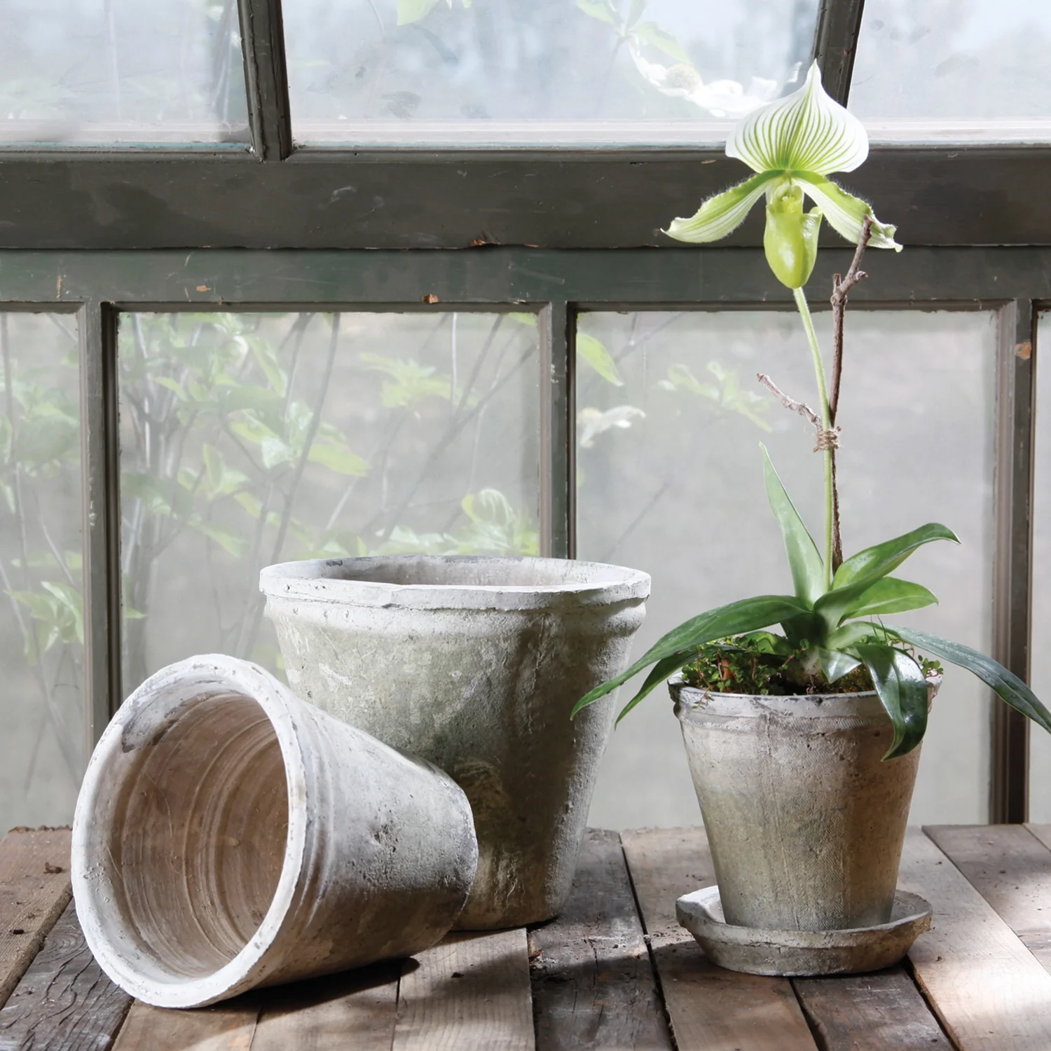 Rustic Terra Cotta Short Tomato Pot - Large - Whitestone Set Of 2 By HomArt