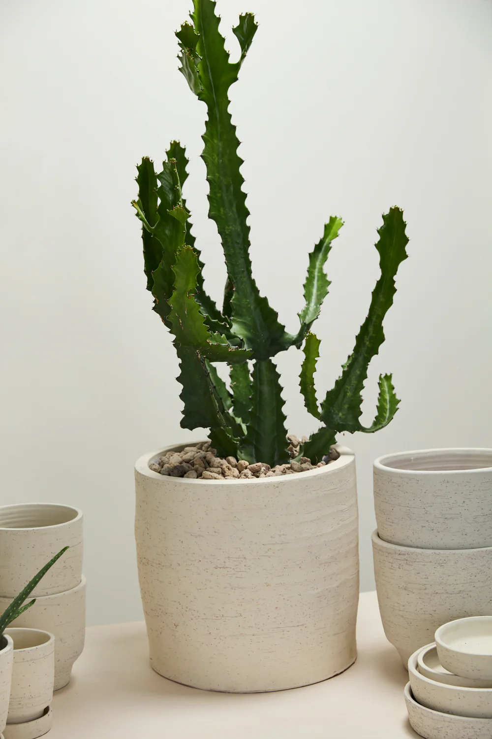 Salvage Pot By Accent Decor - Image 7