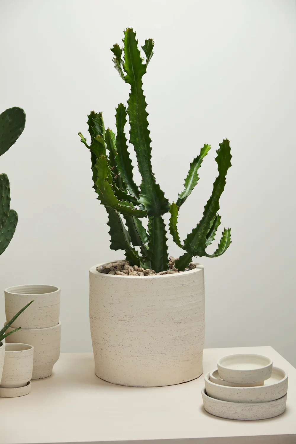 Salvage Pot By Accent Decor - Image 9