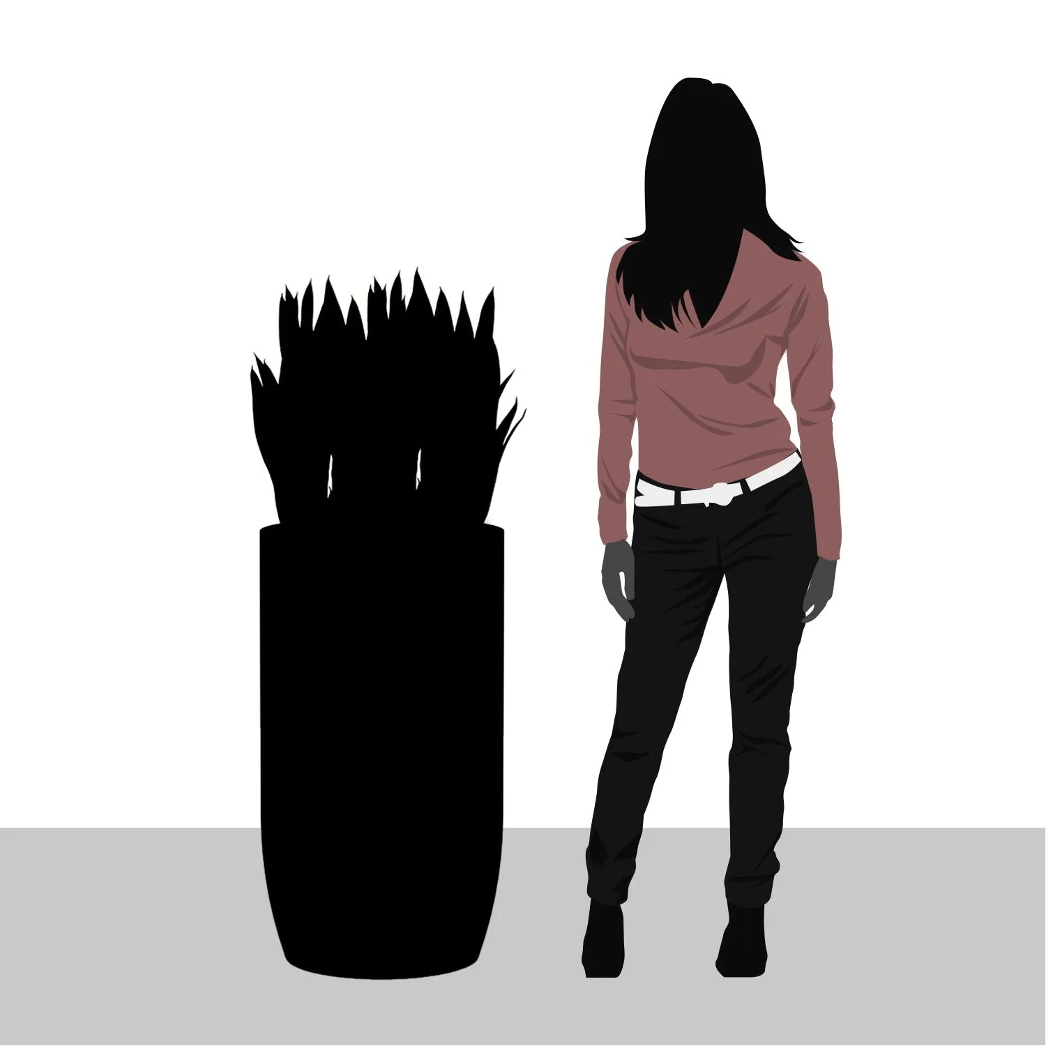 Sansevieria in Barrel Planter MD, Gunmetal Metallic Satin By Gold Leaf - Image 2