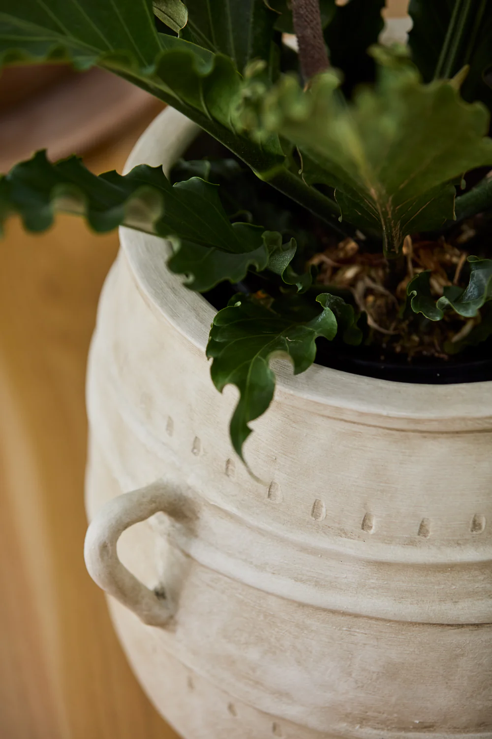 Santos Planter By Accent Decor - Image 8