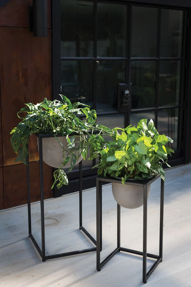 Scout Stand Only 17.75" x 36" By Accent Decor - Image 4
