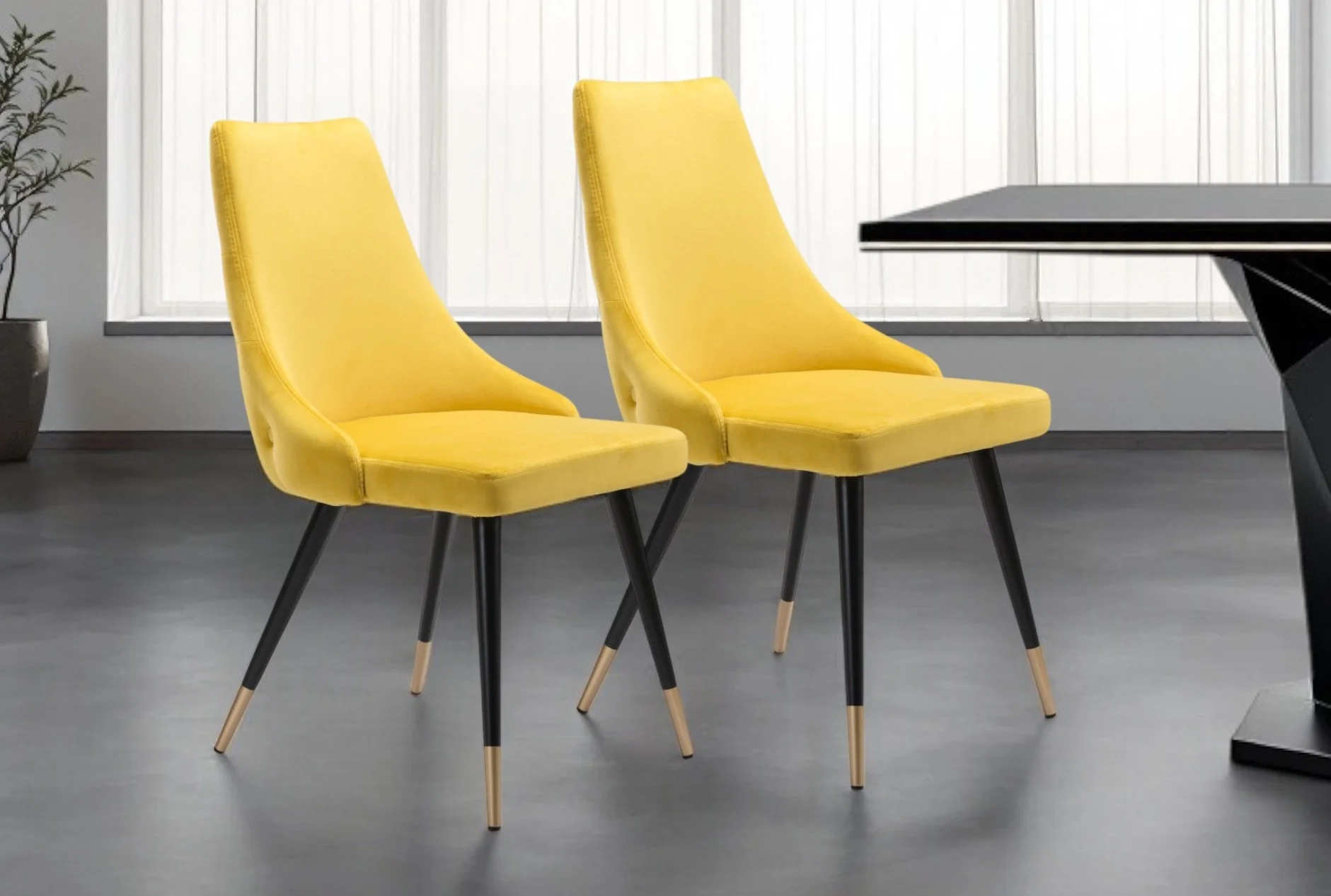 Set of Two Tufted Yellow And Black Upholstered Velvet Windsor Back Dining Side Chairs By Homeroots