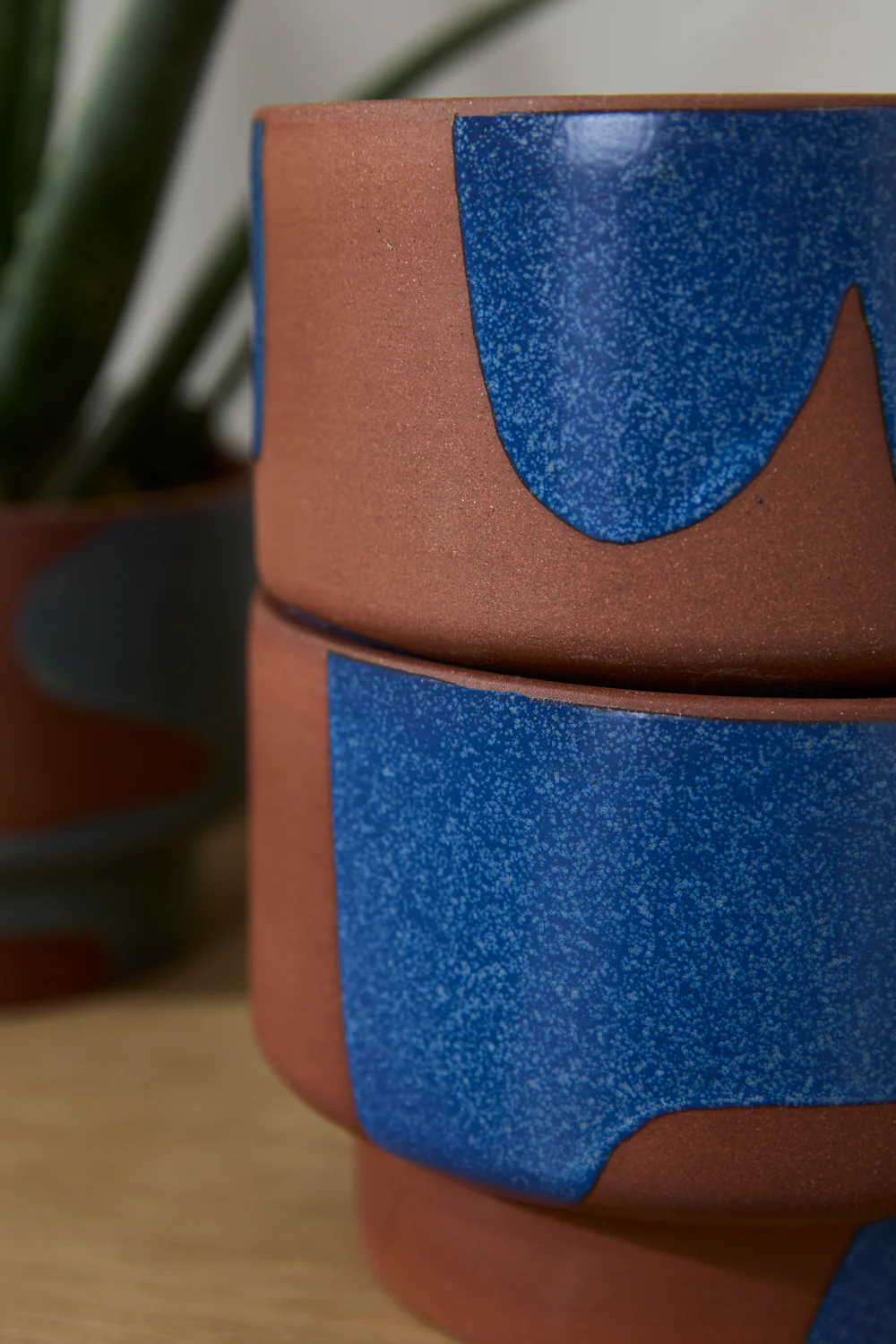 Shanti Pot Set of 2 By Accent Decor