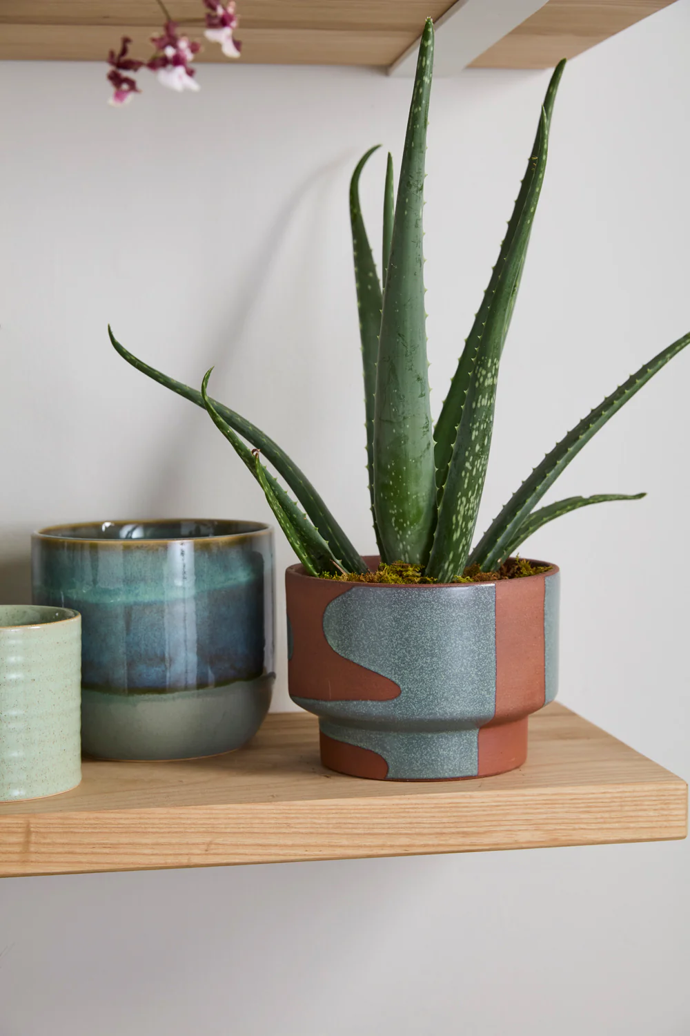 Shanti Pot Set of 2 By Accent Decor - Image 8