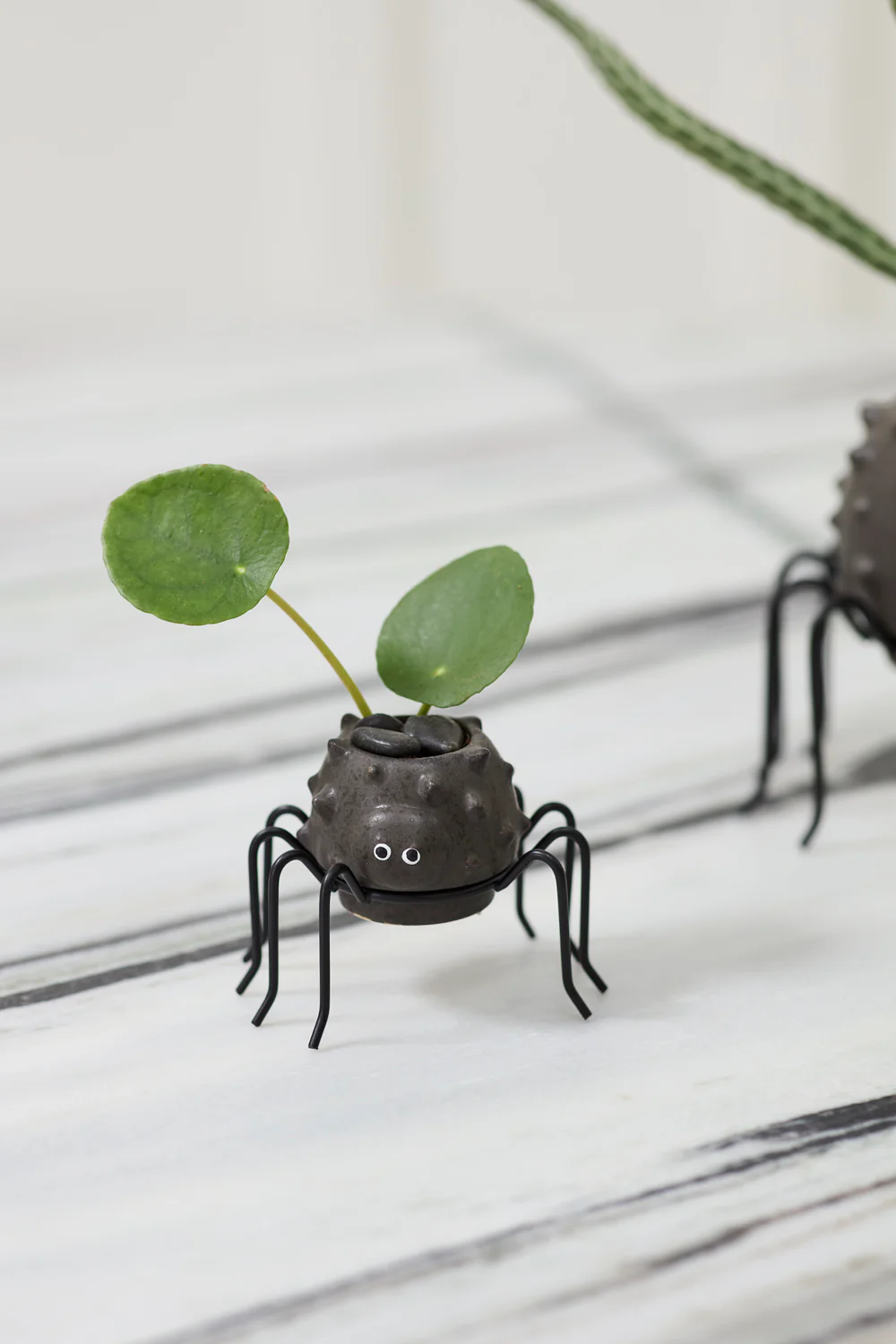 Silly Spider Pot Set of 8 By Accent Decor - Image 5