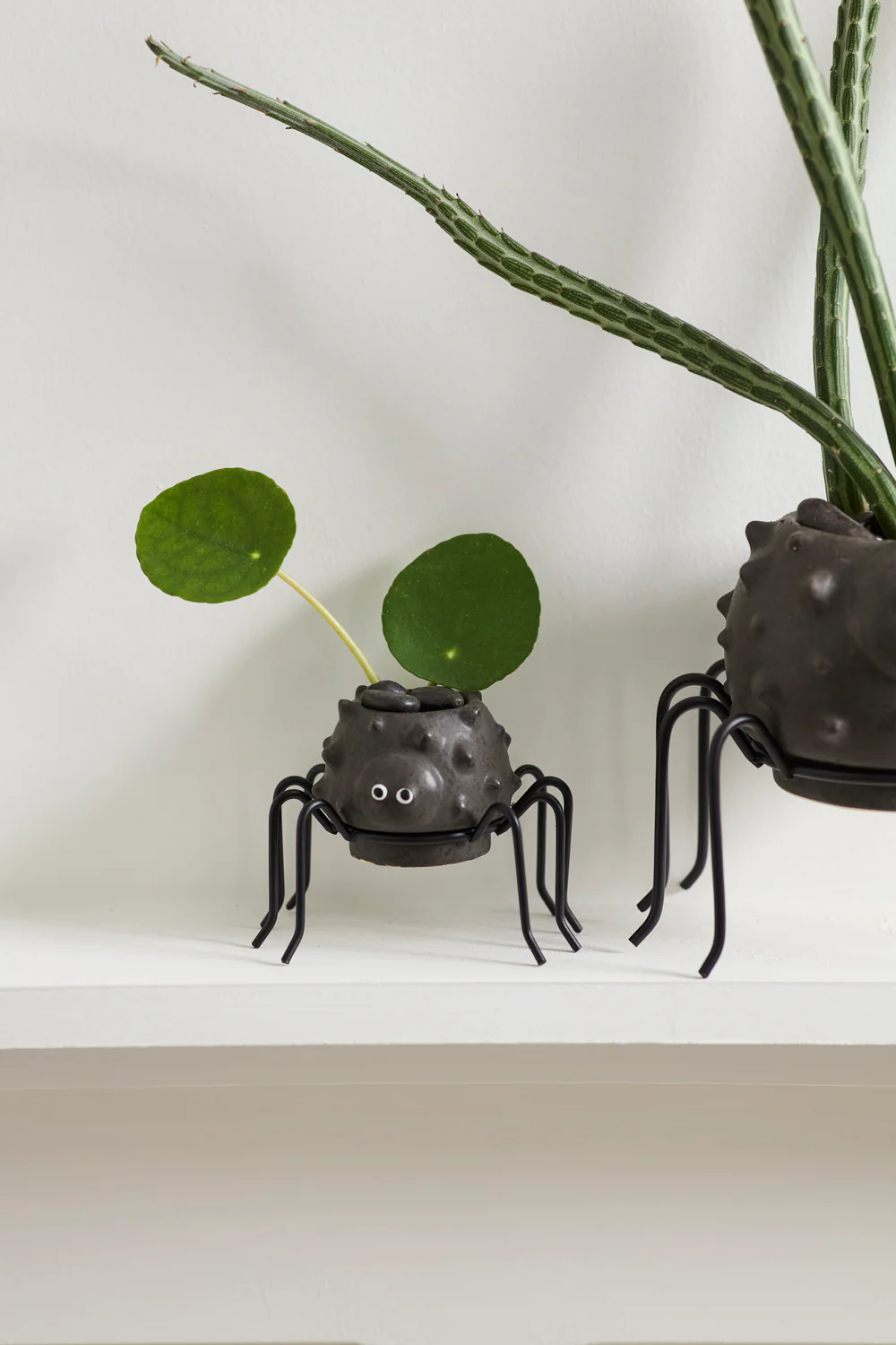 Silly Spider Pot Set of 8 By Accent Decor - Image 6