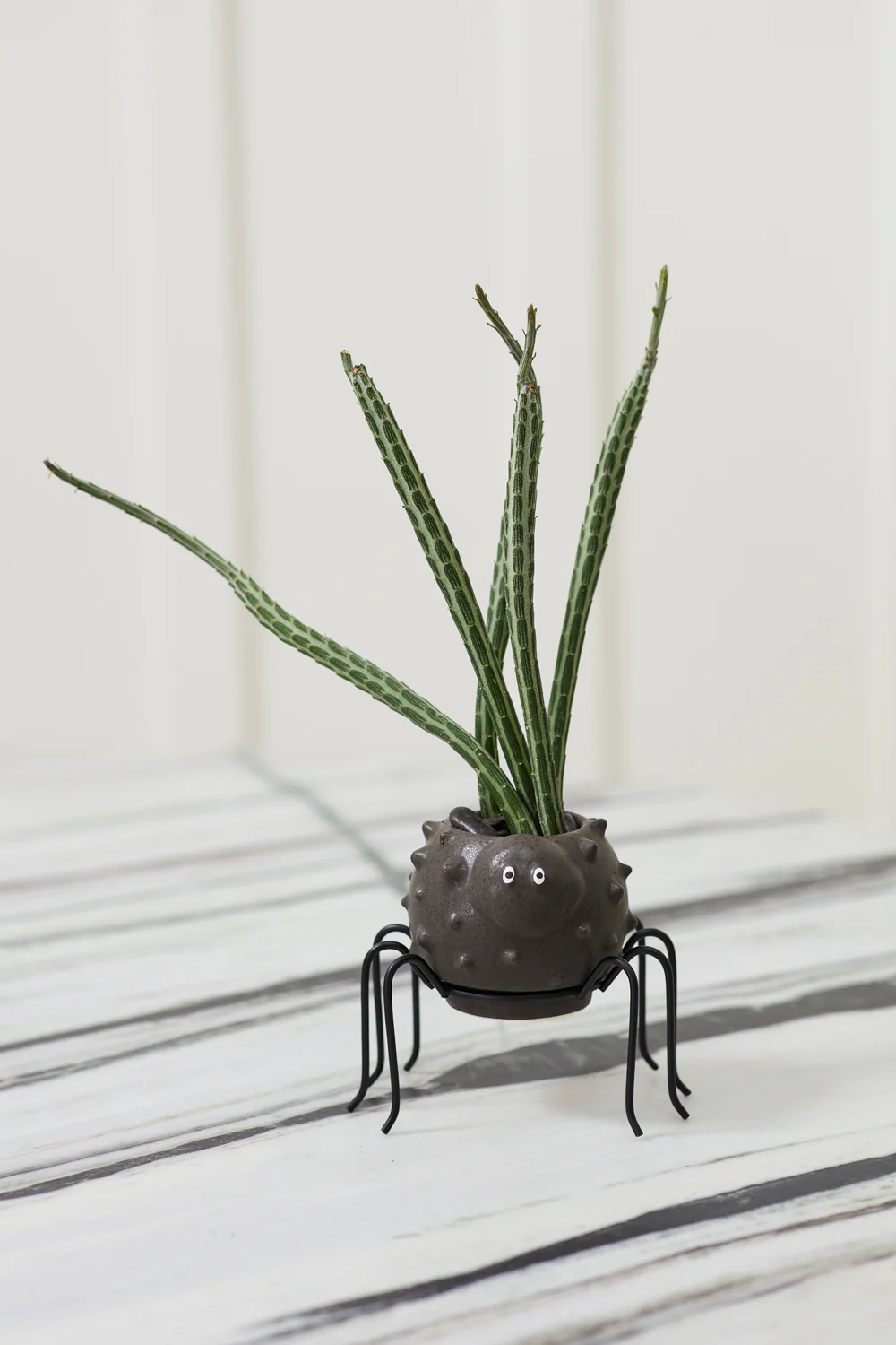 Silly Spider Pot Set of 8 By Accent Decor - Image 8