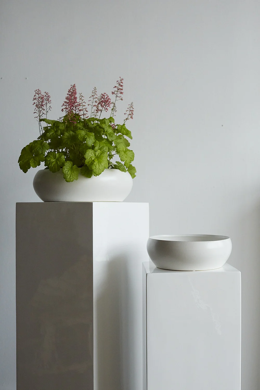Simply Collection Set of 8 By Accent Decor