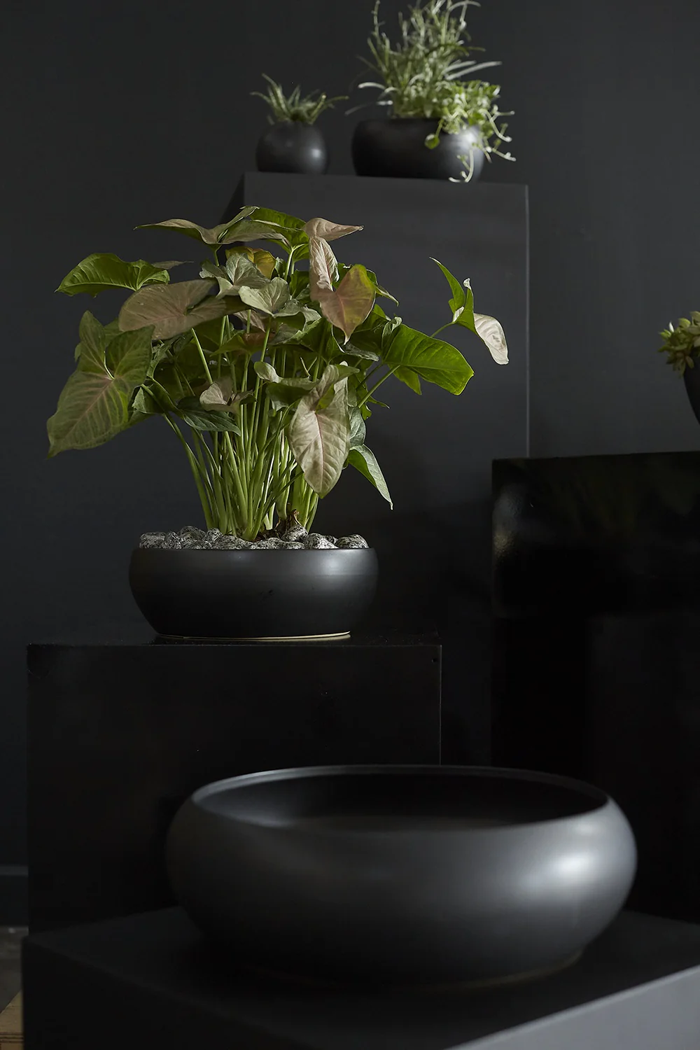 Simply Collection Set of 8 By Accent Decor - Image 17