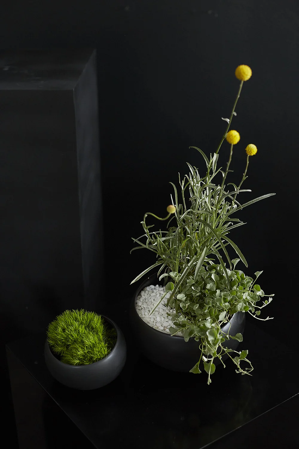 Simply Collection Set of 8 By Accent Decor - Image 6