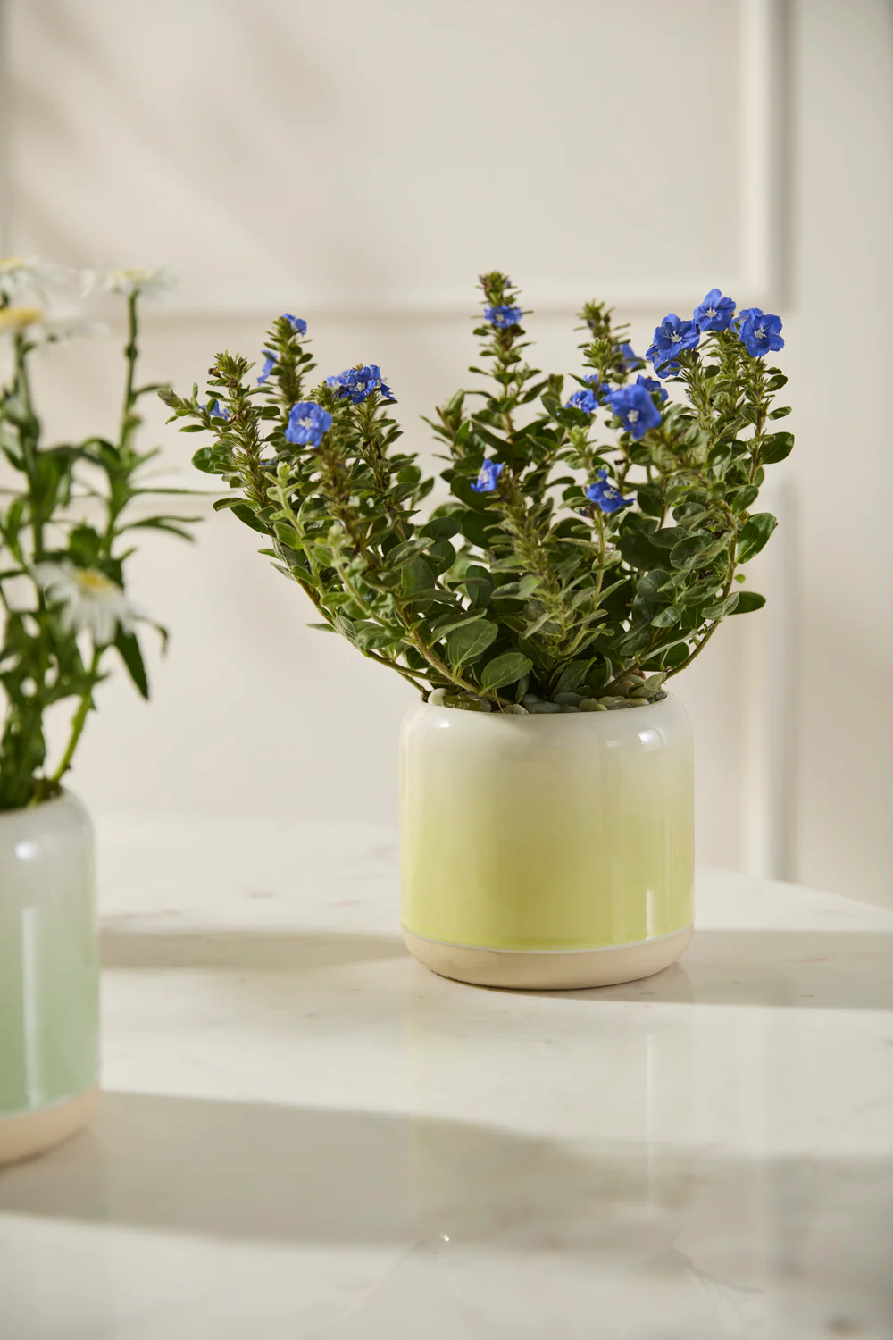 Skyway Pot Set of 8 By Accent Decor - Image 12