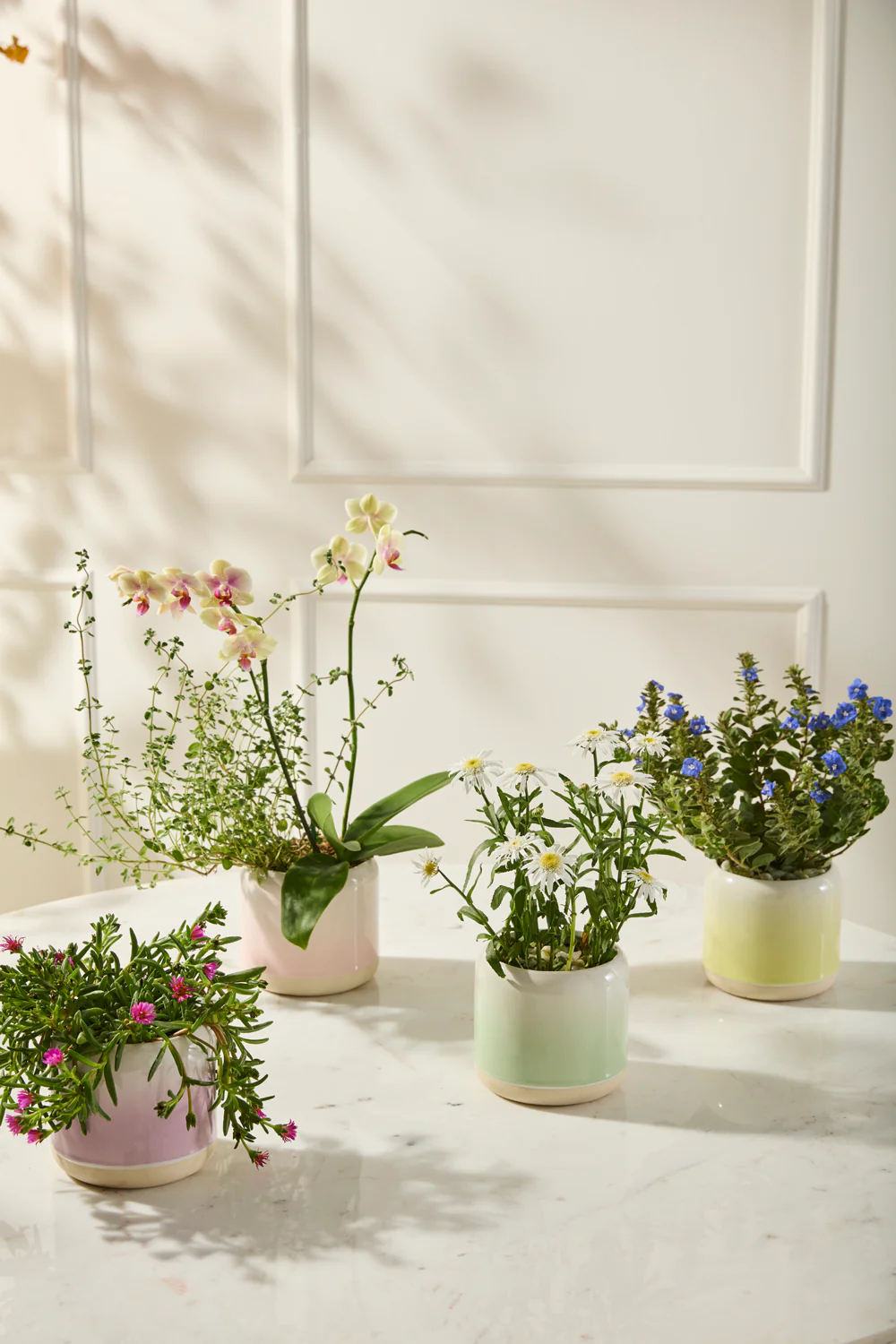 Skyway Pot Set of 8 By Accent Decor - Image 3