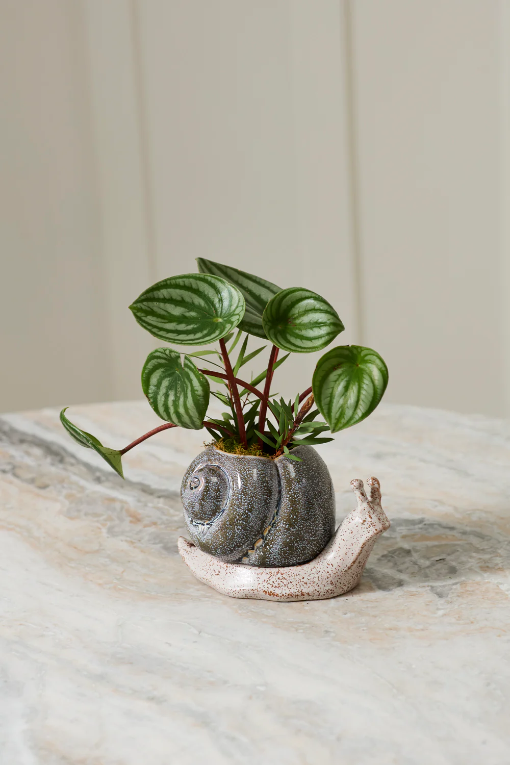 Snail Pot with Saucer Set of 2 By Accent Decor - Image 3