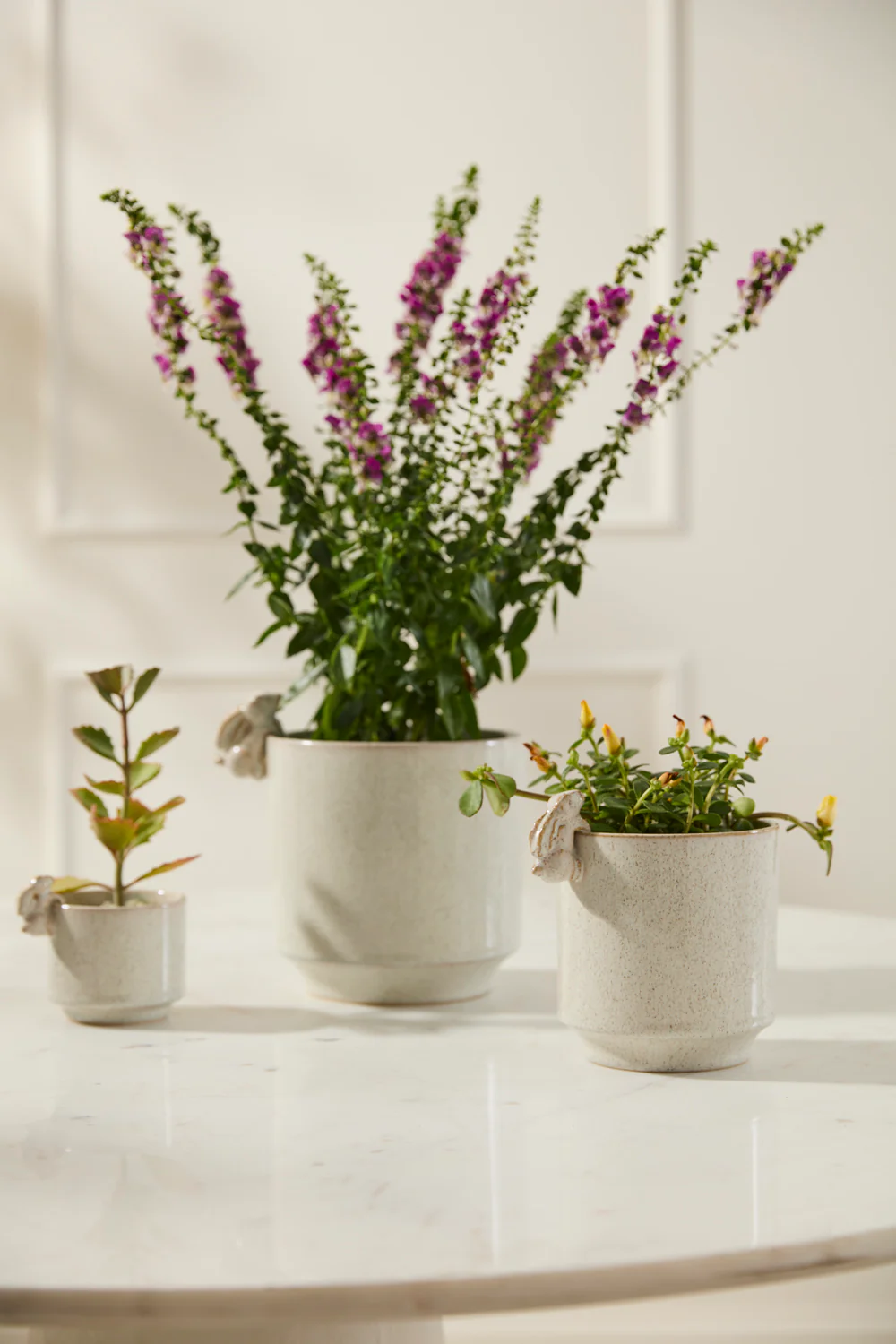 Sneaky Bunny Pot Set of 8 By Accent Decor - Image 3