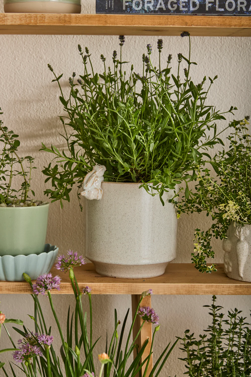 Sneaky Bunny Pot Set of 8 By Accent Decor - Image 7