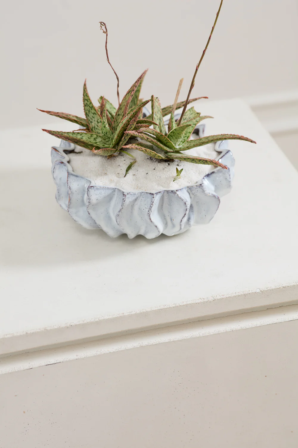 Sono Collection Set of 2 By Accent Decor - Image 8
