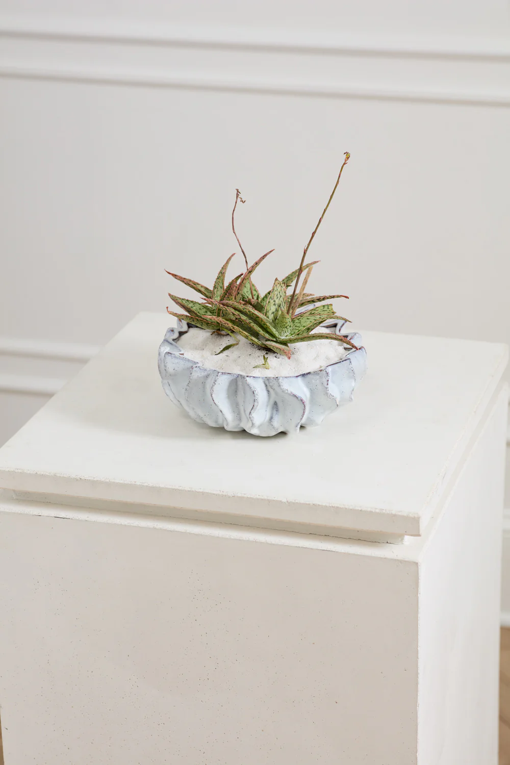 Sono Collection Set of 2 By Accent Decor - Image 9