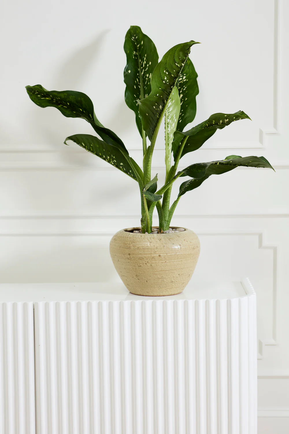 Soren Pot By Accent Decor - Image 5