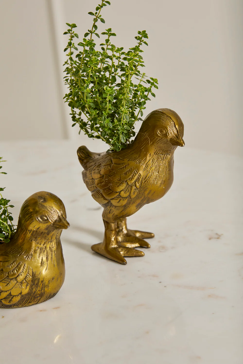 Spring Roost Collection Set of 4 By Accent Decor - Image 11