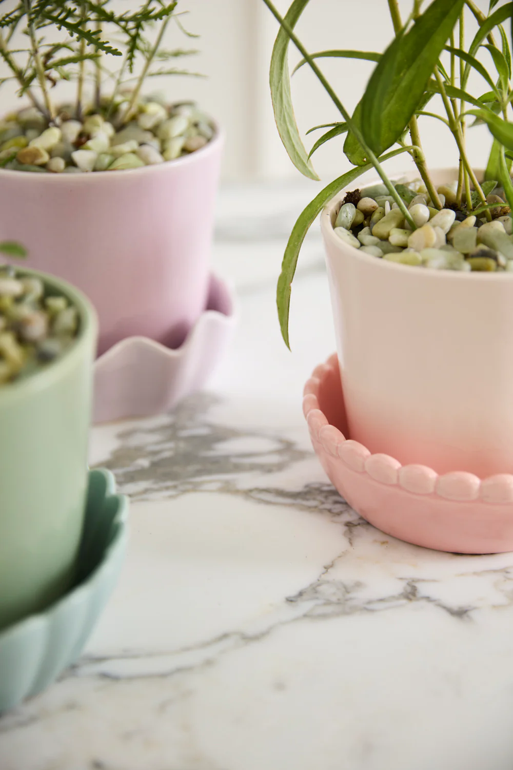 Springvale Pot with Saucer Set of 4 By Accent Decor