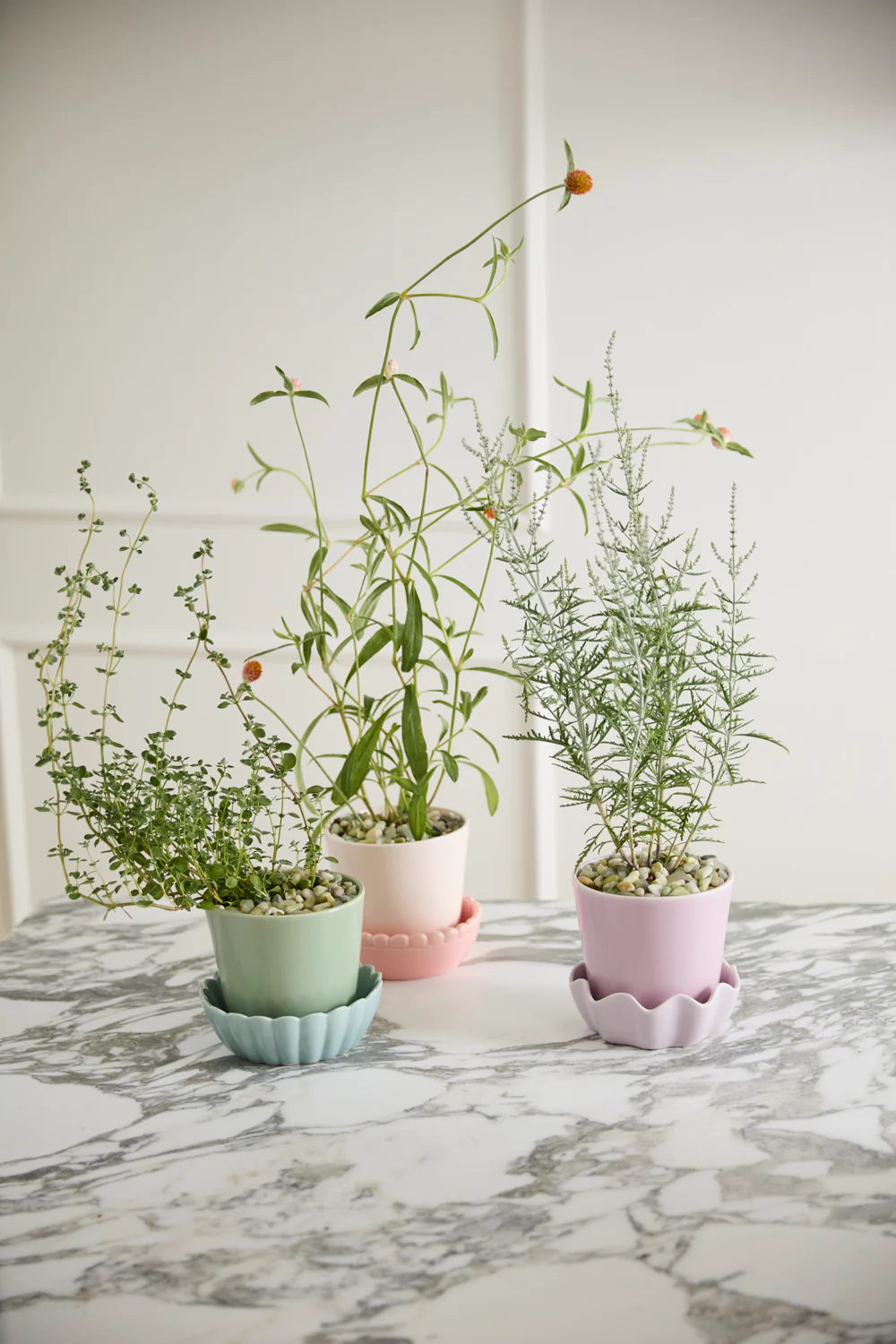 Springvale Pot with Saucer Set of 4 By Accent Decor - Image 3
