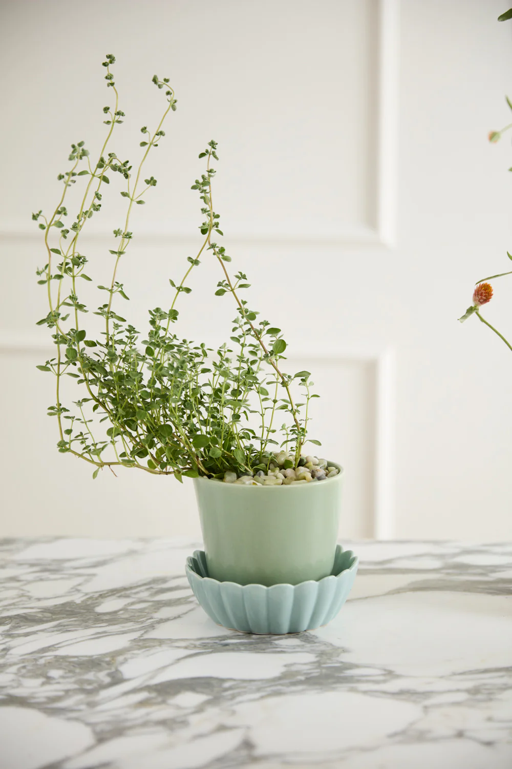 Springvale Pot with Saucer Set of 4 By Accent Decor - Image 6