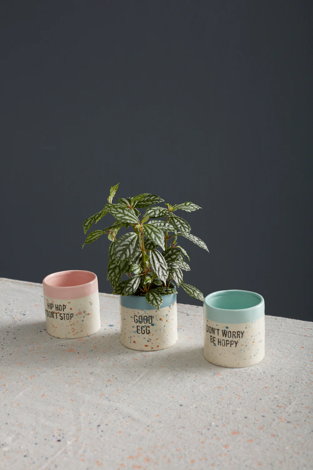 Spritz Easter Pot Set of 4 By Accent Decor - Image 3