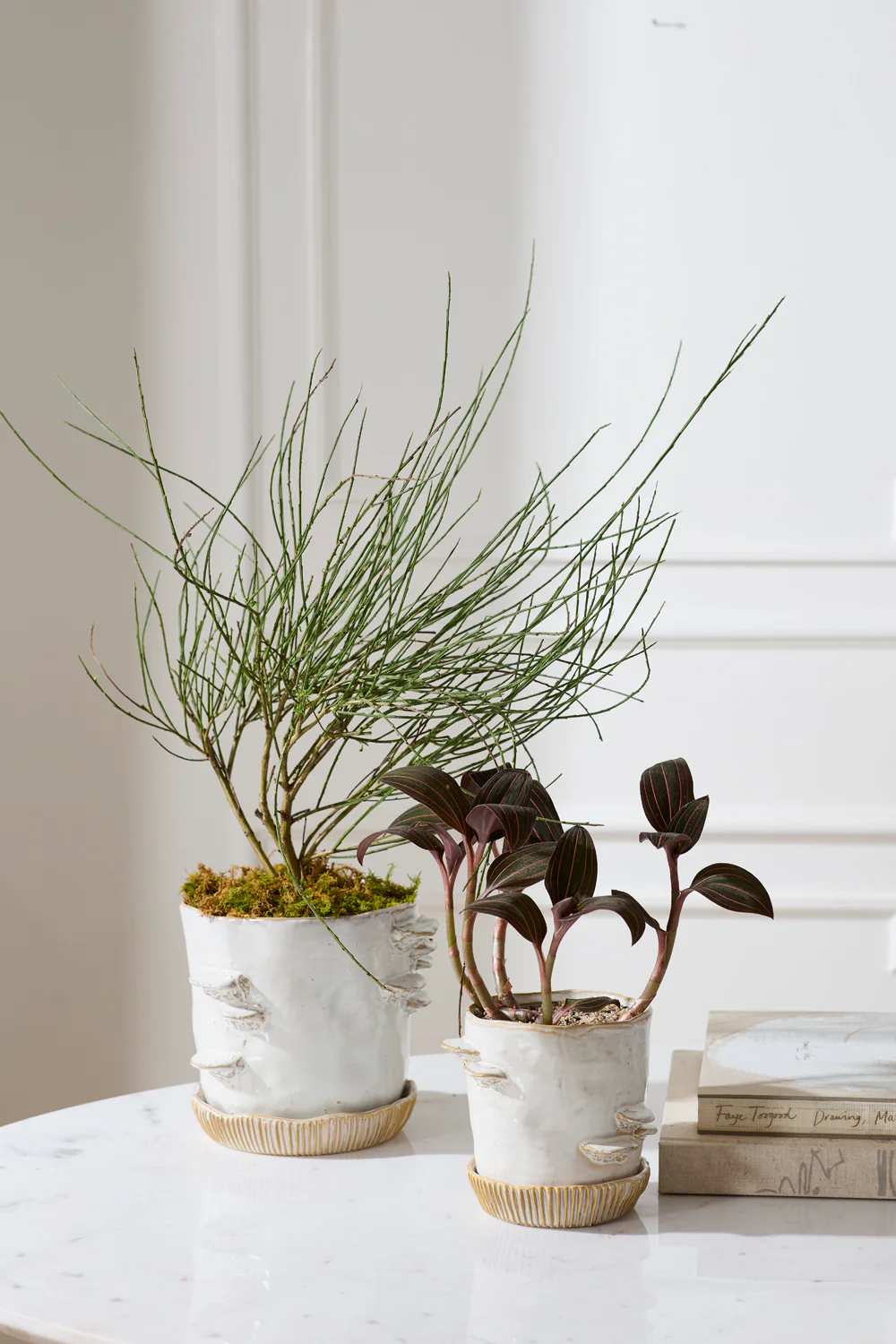 Stepped Mushroom Pot with Saucer Set of 2 By Accent Decor - Image 6
