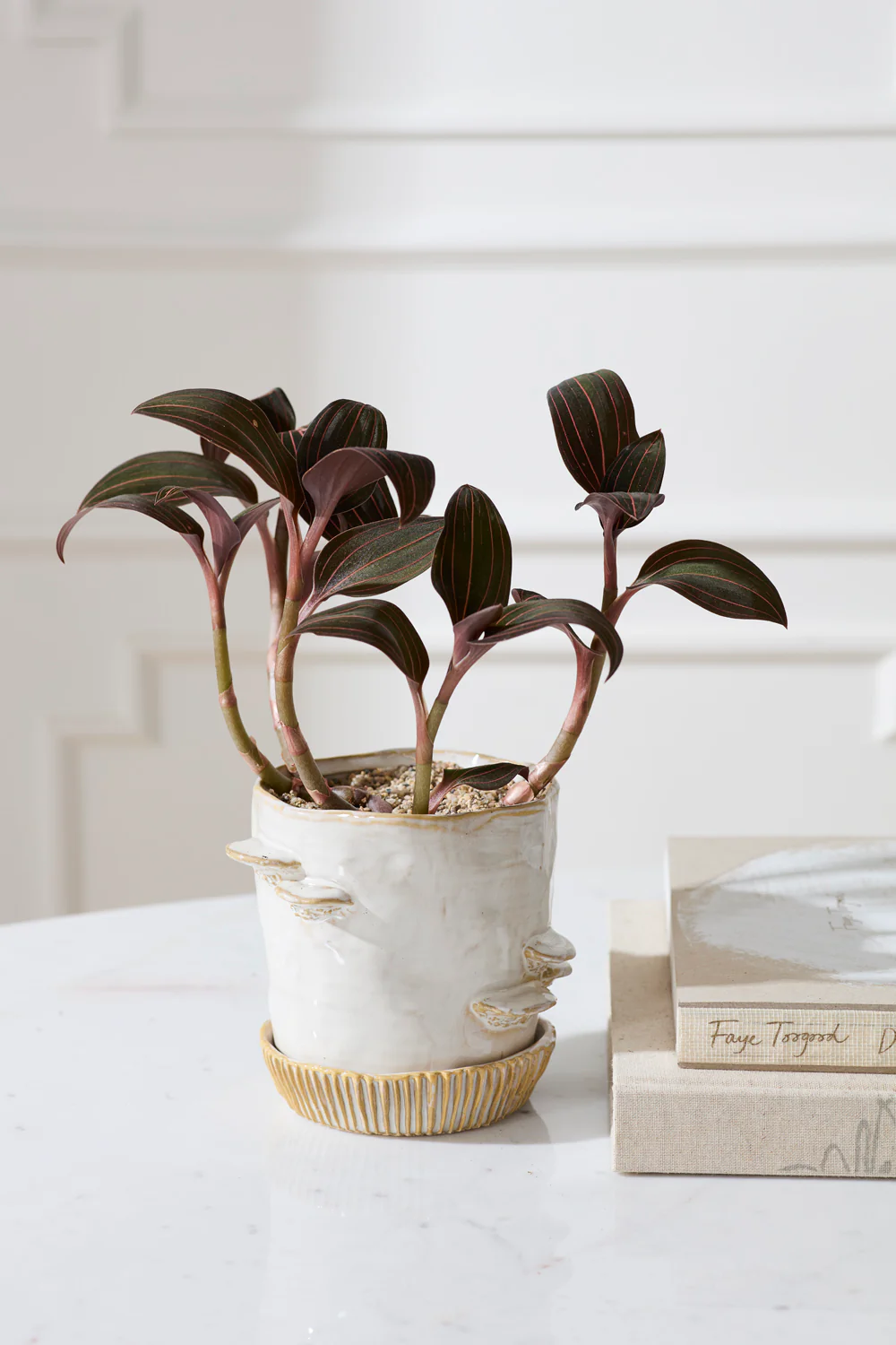 Stepped Mushroom Pot with Saucer Set of 2 By Accent Decor - Image 7